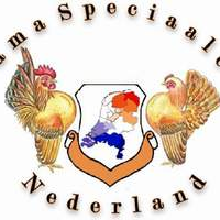 Nieuwsbrief Serama Speciaalclub Nederland met uitnodiging jaarvergadering 12 april 2025 Nieuwsbrief Serama Speciaalclub Nederland met uitnodiging jaarvergadering 12 april 2025